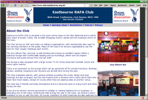 Mini website